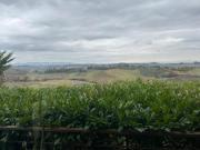 Villetta bifamiliare in vendita a Siena 315 mq Rif: 1382118