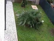 Villetta bifamiliare in vendita di 125 m² in Via delle...