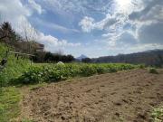 Villetta bifamiliare in vendita di 185 m²