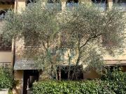 Villetta bifamiliare in vendita di 200 m² in Località Celle