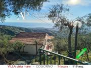 Villetta bifamiliare in vendita di 210 m² in Via per Maxena