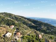Villetta bifamiliare in vendita di 212 m² in Via Dino...