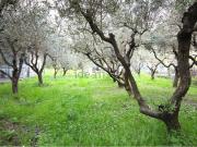 Villetta bifamiliare in vendita di 276 m²