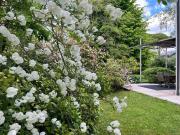 Villetta bifamiliare in vendita di 280 m² in Strada del...