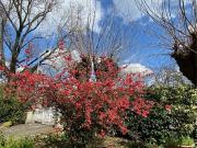 Villetta bifamiliare in vendita di 320 m² in Via...