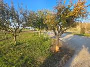 Villetta bifamiliare in vendita di 350 m² in Via Variano