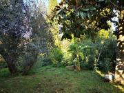 Villetta bifamiliare in vendita di 400 m² in Viale delle...