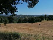 Villetta bifamiliare in vendita di 420 m²