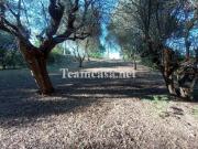 Villetta bifamiliare in vendita di 350 m²