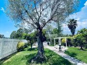 Villetta bifamiliare in vendita di 550 m²