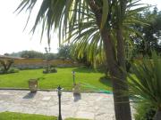 Villetta bifamiliare in vendita di 782 m² in Via Vignone Villetta bifamiliare in vendita di 782 m² in Via Vignone