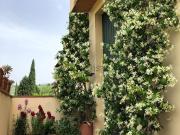 Villetta indipendente in affitto di 100 m² in Via Villamagna
