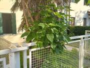 Villetta indipendente in affitto di 125 m² in Viale...