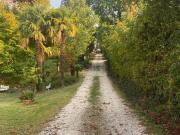 Villetta indipendente in affitto di 220 m² in Via Predosa