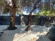 Villetta indipendente in affitto di 80 m² in Via Policastro