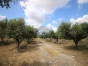 Villetta indipendente in vendita di 10000 m² in Strada...