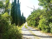 Villetta indipendente in vendita di 1000 m²