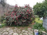Villetta indipendente in vendita di 120 m² in Località Ronco