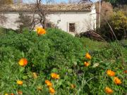 Villetta indipendente in vendita di 150 m² in Strada...