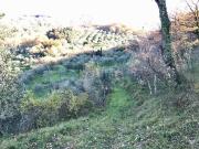Villetta indipendente in vendita di 160 m² Villetta indipendente in vendita di 160 m²
