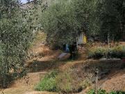 Villetta indipendente in vendita di 160 m² in Via della...