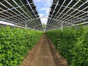 Villetta indipendente in vendita di 165 m² in Contrada...