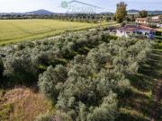 Villetta indipendente in vendita di 174 m² in Strada...