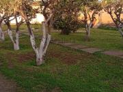 Villetta indipendente in vendita di 175 m²
