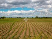 Villetta indipendente in vendita di 200 m² in Viale...