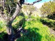 Villetta indipendente in vendita di 220 m² in Via russo