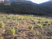 Villetta indipendente in vendita di 22 m²