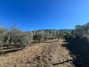 Villetta indipendente in vendita di 230 m² in Via...