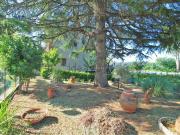 Villetta indipendente in vendita di 230 m² in Via del...