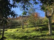 Villetta indipendente in vendita di 230 m² in Via del...