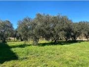 Villetta indipendente in vendita di 240 m²