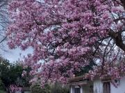 Villetta indipendente in vendita di 240 m² in Via Monte...