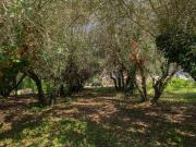 Villetta indipendente in vendita di 280 m² in Via Cesanense