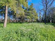 Villetta indipendente in vendita di 300 m² in Via Borsano