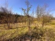 Villetta indipendente in vendita di 300 m²