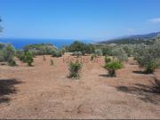 Villetta indipendente in vendita di 300 m² in Contrada...