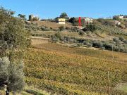 Villetta indipendente in vendita di 300 m² in Via CONA, 48