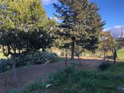 Villetta indipendente in vendita di 300 m² in Viale Sicilia