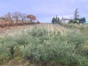 Villetta indipendente in vendita di 315 m² in Viale...