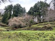 Villetta indipendente in vendita di 320 m² in Via delle Case