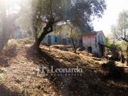 Villetta indipendente in vendita di 330 m² in Via di...