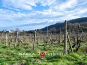 Villetta indipendente in vendita di 355 m²