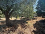 Villetta indipendente in vendita di 35 m² in Contrada...