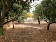 Villetta indipendente in vendita di 366 m² in Via...
