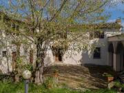 Villetta indipendente in vendita di 393 m² in Via del Carota