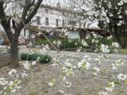 Villetta indipendente in vendita di 400 m²